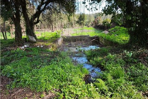 Farm i Ponte de Lima, Viana do Castelo, Ponte de Lima - € 299.000 | Ref: 123731006-163 - foto 16