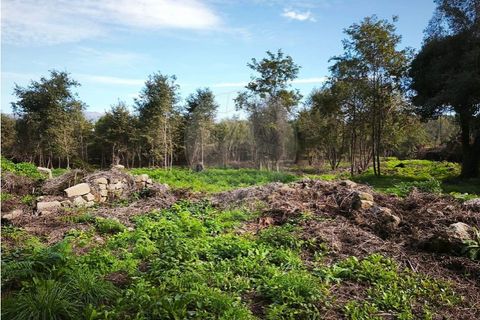 Farm i Ponte de Lima, Viana do Castelo, Ponte de Lima - € 299.000 | Ref: 123731006-163 - foto 17