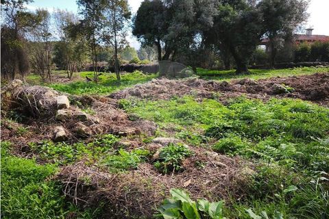 Farm i Ponte de Lima, Viana do Castelo, Ponte de Lima - € 299.000 | Ref: 123731006-163 - foto 18