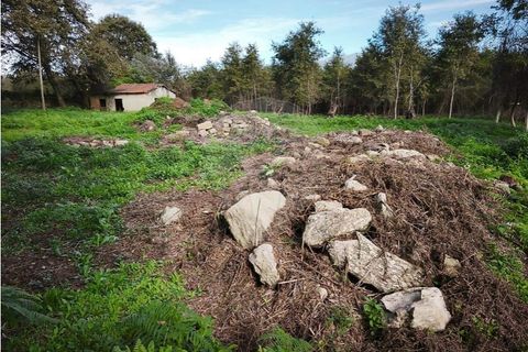 Farm i Ponte de Lima, Viana do Castelo, Ponte de Lima - € 299.000 | Ref: 123731006-163 - foto 19