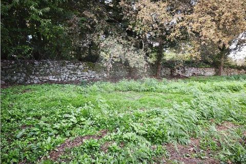 Farm i Ponte de Lima, Viana do Castelo, Ponte de Lima - € 299.000 | Ref: 123731006-163 - foto 20