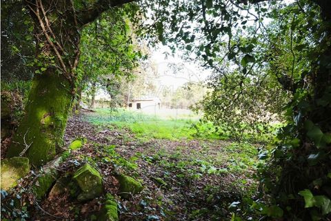 Farm i Ponte de Lima, Viana do Castelo, Ponte de Lima - € 299.000 | Ref: 123731006-163 - foto 21