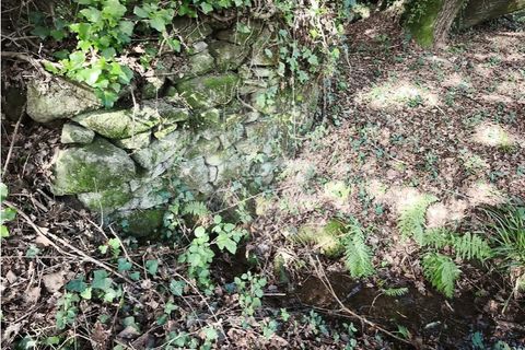 Farm i Ponte de Lima, Viana do Castelo, Ponte de Lima - € 299.000 | Ref: 123731006-163 - foto 22