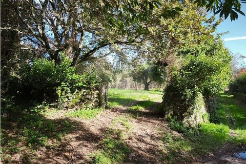 Farm i Ponte de Lima, Viana do Castelo, Ponte de Lima - € 299.000 | Ref: 123731006-163 - foto 25