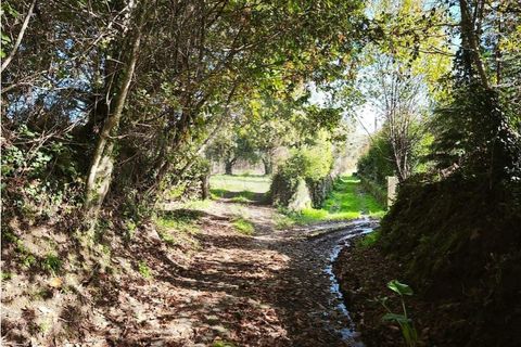 Farm i Ponte de Lima, Viana do Castelo, Ponte de Lima - € 299.000 | Ref: 123731006-163 - foto 26