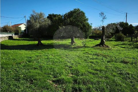 Villa i Ponte de Lima, Viana do Castelo, Ponte de Lima - € 59.000 | Ref: 123731006-164 - foto 6