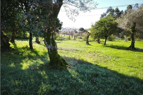 Villa i Ponte de Lima, Viana do Castelo, Ponte de Lima - € 59.000 | Ref: 123731006-164 - foto 8