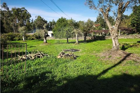 Villa i Ponte de Lima, Viana do Castelo, Ponte de Lima - € 59.000 | Ref: 123731006-164 - foto 10