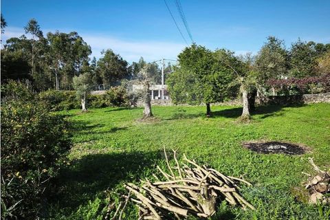 Villa i Ponte de Lima, Viana do Castelo, Ponte de Lima - € 59.000 | Ref: 123731006-164 - foto 12