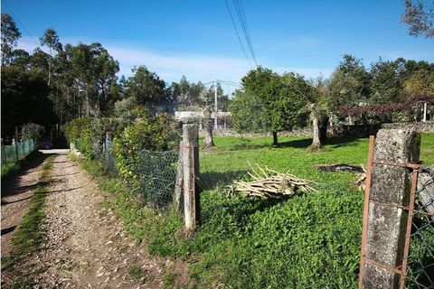 Villa i Ponte de Lima, Viana do Castelo, Ponte de Lima - € 59.000 | Ref: 123731006-164 - foto 13