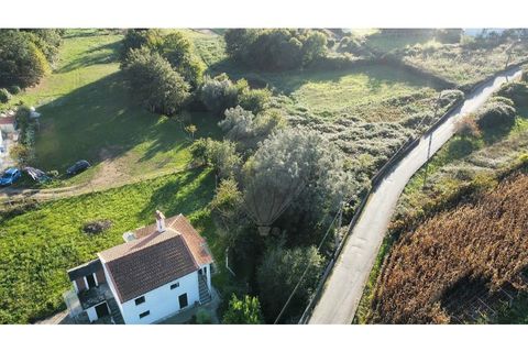 Helårsgrund i Caminha, Viana do Castelo, Caminha - € 89.600 | Ref: 126201003-216 - foto 6