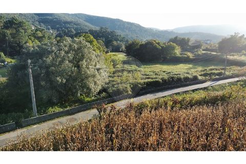 Helårsgrund i Caminha, Viana do Castelo, Caminha - € 89.600 | Ref: 126201003-216 - foto 10