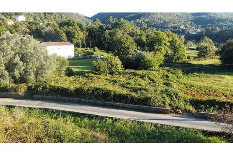 Helårsgrund i Caminha, Viana do Castelo, Caminha - € 89.600 | Ref: 126201003-216 - foto 11