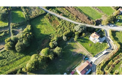 Helårsgrund i Caminha, Viana do Castelo, Caminha - € 89.600 | Ref: 126201003-216 - foto 12