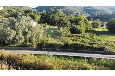 Helårsgrund i Caminha, Viana do Castelo, Caminha - € 89.600 | Ref: 126201003-216 - foto 13