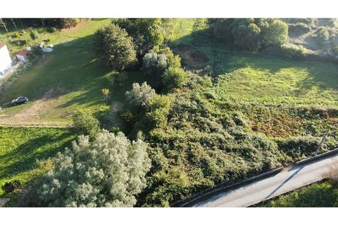Helårsgrund i Caminha, Viana do Castelo, Caminha - € 89.600 | Ref: 126201003-216 - foto 16
