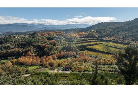 Villa a Celorico de Basto, Braga, Celorico de Basto - € 30.000 | Ref: 126221008-436 - foto 3