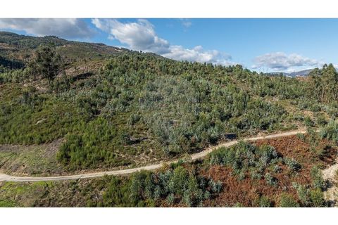 Villa a Celorico de Basto, Braga, Celorico de Basto - € 30.000 | Ref: 126221008-436 - foto 4
