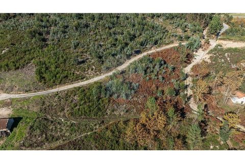 Villa a Celorico de Basto, Braga, Celorico de Basto - € 30.000 | Ref: 126221008-436 - foto 5
