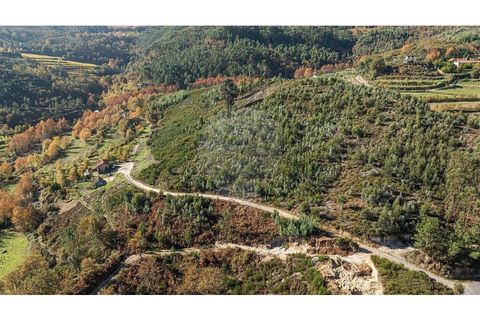Villa a Celorico de Basto, Braga, Celorico de Basto - € 30.000 | Ref: 126221008-436 - foto 6