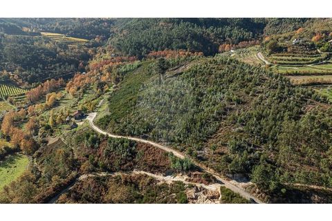 Villa a Celorico de Basto, Braga, Celorico de Basto - € 30.000 | Ref: 126221008-436 - foto 8