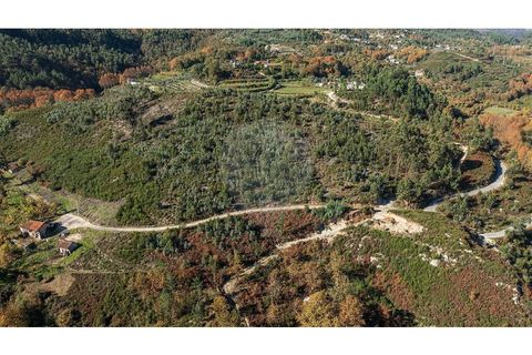Villa a Celorico de Basto, Braga, Celorico de Basto - € 30.000 | Ref: 126221008-436 - foto 9