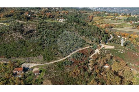 Villa a Celorico de Basto, Braga, Celorico de Basto - € 30.000 | Ref: 126221008-436 - foto 10