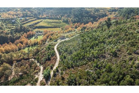 Villa a Celorico de Basto, Braga, Celorico de Basto - € 30.000 | Ref: 126221008-436 - foto 11