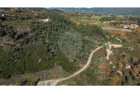 Villa a Celorico de Basto, Braga, Celorico de Basto - € 30.000 | Ref: 126221008-436 - foto 12