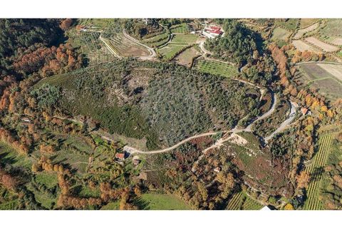 Villa a Celorico de Basto, Braga, Celorico de Basto - € 30.000 | Ref: 126221008-436 - foto 15