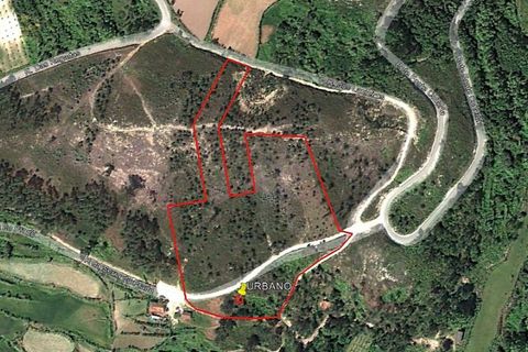 Villa a Celorico de Basto, Braga, Celorico de Basto - € 30.000 | Ref: 126221008-436 - foto 16