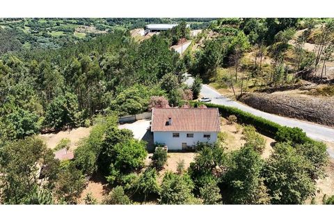 Villa i Cabeceiras de Basto, Braga, Cabeceiras de Basto - € 265.000 | Ref: 126311008-113 - foto 3