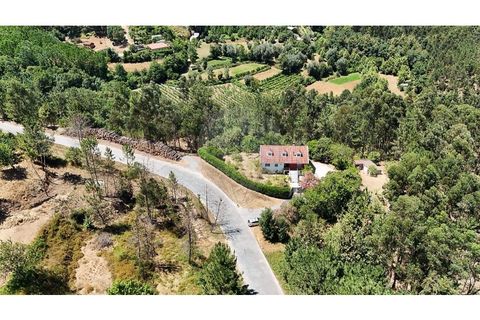 Villa i Cabeceiras de Basto, Braga, Cabeceiras de Basto - € 265.000 | Ref: 126311008-113 - foto 27