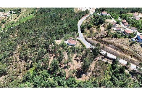 Villa i Cabeceiras de Basto, Braga, Cabeceiras de Basto - € 265.000 | Ref: 126311008-113 - foto 31