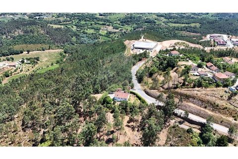 Villa i Cabeceiras de Basto, Braga, Cabeceiras de Basto - € 265.000 | Ref: 126311008-113 - foto 32