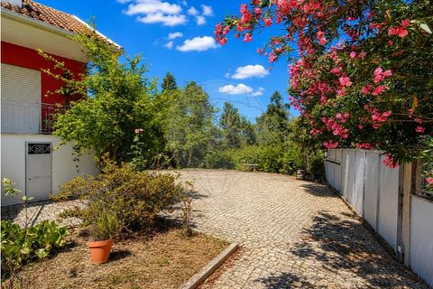 Villa i Cabeceiras de Basto, Braga, Cabeceiras de Basto - € 265.000 | Ref: 126311008-113 - foto 22