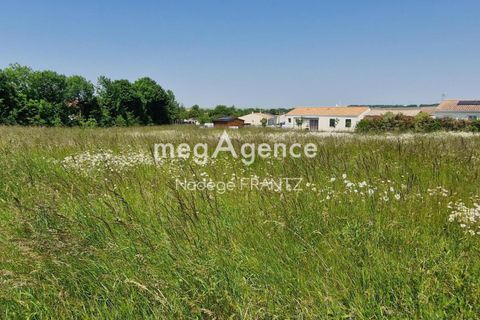Terra a Landes, Charente-Maritime, Landes - € 35.000 | Ref: 198337 - foto 2
