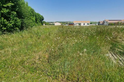 Terra a Landes, Charente-Maritime, Landes - € 37.000 | Ref: 198338 - foto 2