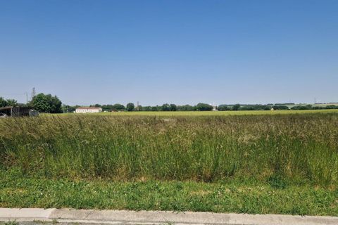 Terra a Landes, Charente-Maritime, Landes - € 35.000 | Ref: 198444 - foto 2