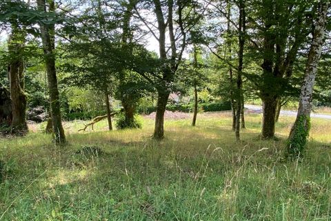 Helårsgrund i Tulle, Correze, Tulle - € 19.000 | Ref: 190903 - foto 2