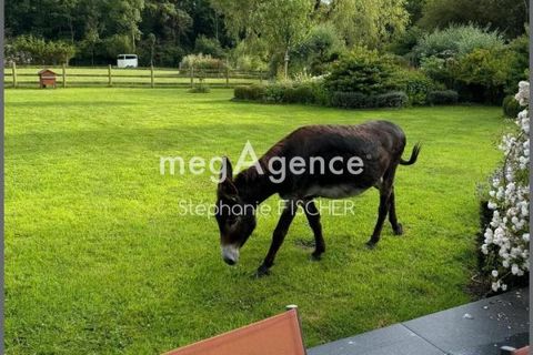 Landejendom i Condette, Pas-de-Calais, Condette - € 789.000 | Ref: 198424 - foto 10