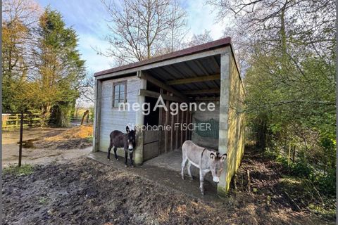 Landejendom i Condette, Pas-de-Calais, Condette - € 789.000 | Ref: 198424 - foto 11