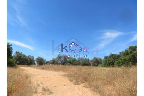 Helårsgrund i Tavira, Faro, Tavira - € 9.900.000 | Ref: 12751 - foto 12