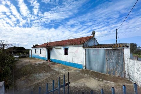 Farm i Sines, Setubal, Sines - € 787.500 | Ref: 12681 - foto 2