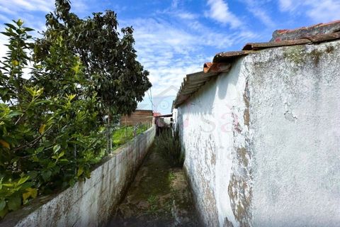 Farm i Sines, Setubal, Sines - € 787.500 | Ref: 12681 - foto 5