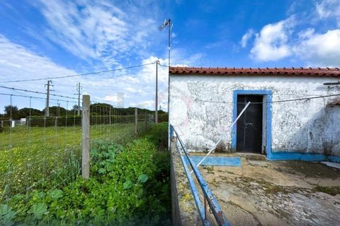 Farm i Sines, Setubal, Sines - € 787.500 | Ref: 12681 - foto 8