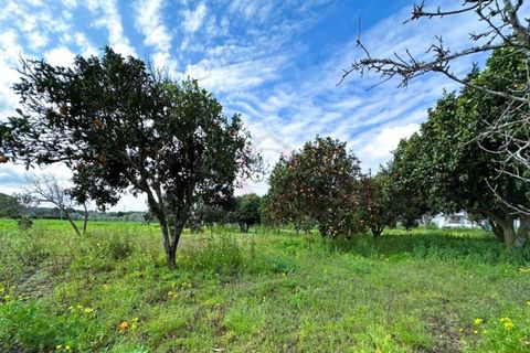 Farm i Sines, Setubal, Sines - € 787.500 | Ref: 12681 - foto 13