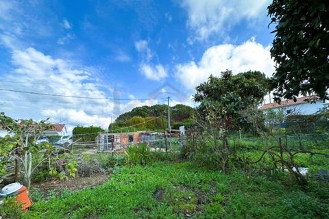 Farm i Sines, Setubal, Sines - € 787.500 | Ref: 12681 - foto 14