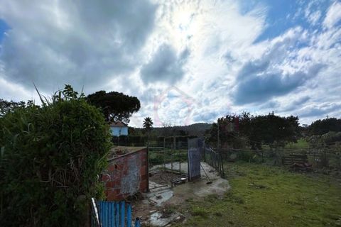 Farm i Sines, Setubal, Sines - € 787.500 | Ref: 12681 - foto 26