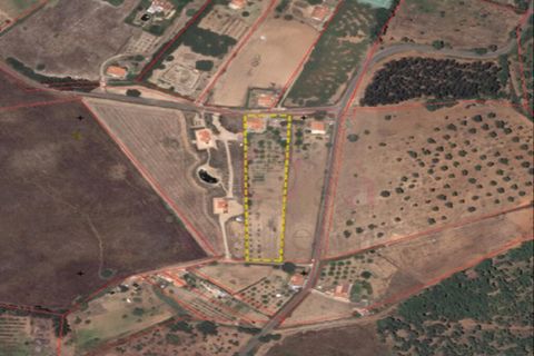 Farm i Sines, Setubal, Sines - € 787.500 | Ref: 12681 - foto 27